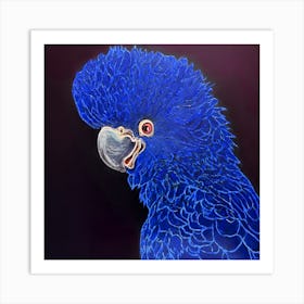 Blue Parrot Art Print