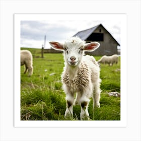 Lamb On A Farm Art Print