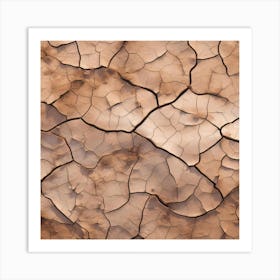 Cracked Earth 3 Art Print