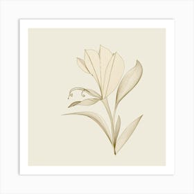 Lily Of The Valley 17 Art Print