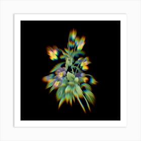 Prism Shift Johnny Jump Up Viola tricolor Botanical Illustration on Black n.0022 Art Print