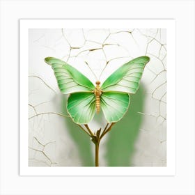 Green Butterfly Art Print