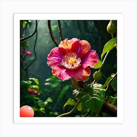 Hibiscus Flower Art Print