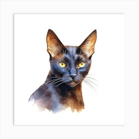 Bombay Chocolate Cat Portrait 2 Art Print