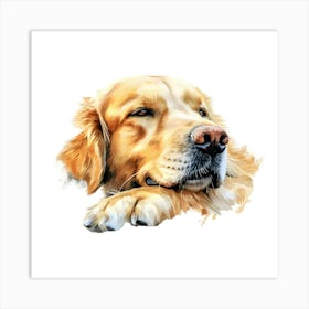 Golden Retriever 3 Art Print