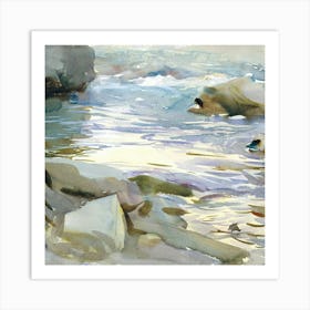 Rocky Shore Art Print