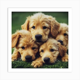 Golden Retriever Puppies 2 Art Print