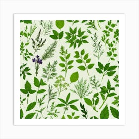 Seamless Pattern Of Herbs 4 Art Print