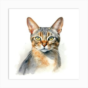 Malayan Cat Portrait 3 Art Print