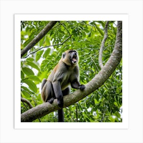 Monkey In A Tree Art Print