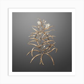 Gold Botanical Narrow Leaved Spider Flower on Soft Gray n.0955 Art Print