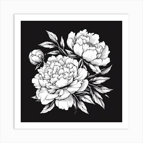 Peonies On Black Background Art Print