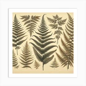 Ferns 11 Art Print