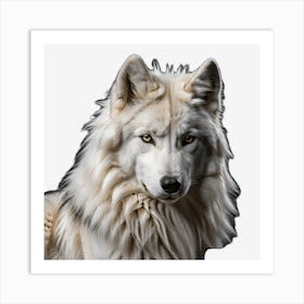 White Wolf Art Print