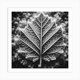 Winter leaf 3 Art Print