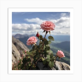 Roses On A Rock Art Print