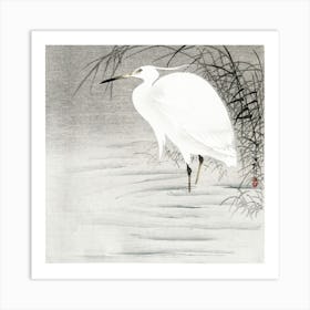 Little Egret (1900 1930), Ohara Koson Art Print