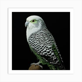 Ohara Koson Inspired Bird Painting Budgerigar 1 Square Art Print