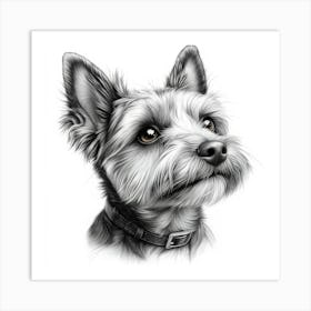 Yorkshire Terrier 1 Art Print