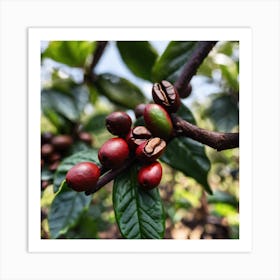 Coffee Beans On A Tree 16 Art Print