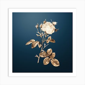 Gold Botanical White Provence Rose on Dusk Blue n.1466 Art Print