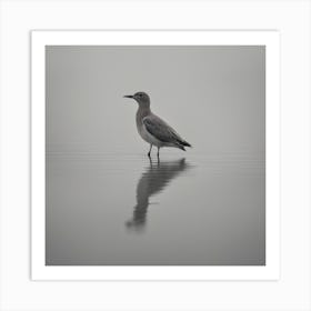 Sandpiper Art Print