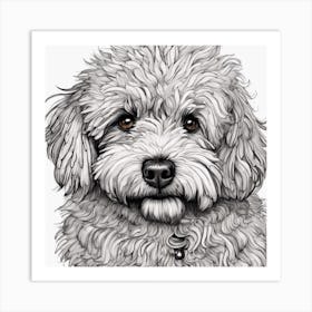 Poodle 1 Art Print