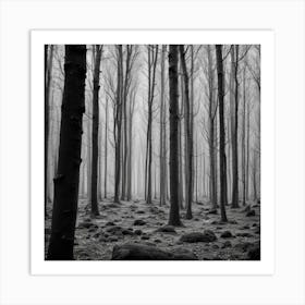 Foggy Forest 9 Art Print