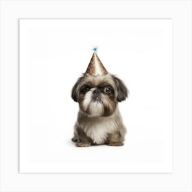 Shih Tzu In Party Hat Art Print