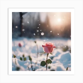 Rose In The Snow Art Print