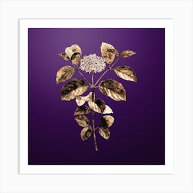 Gold Botanical Common Dogwood on Royal Purple n.0797 Art Print