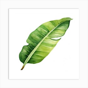 Watercolor Banana Leaf Art Print