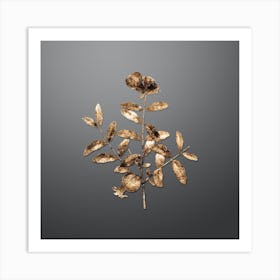 Gold Botanical Pomegranate Branch on Soft Gray n.1694 Art Print