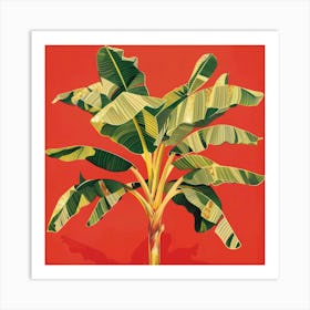 Banana Tree 6 Art Print