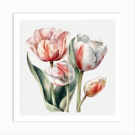 Tulips Art Print