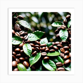 Coffee Beans On A Tree 50 Art Print