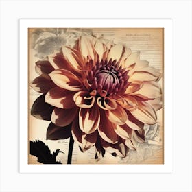 Dahlia Floral Botanical Vintage Poster Art Print