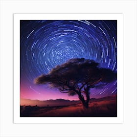 Star Trails Over A Tree Art Print