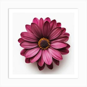 Purple Daisy Art Print