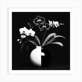 Black And White Orchids 1 Art Print