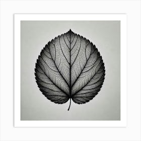 Black Leaf Art Print