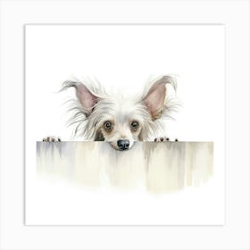 Chihuahua 12 Art Print