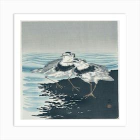 Two Gulls Art Print