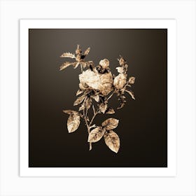 Gold Botanical Cabbage Rose on Chocolate Brown n.2850 Art Print