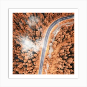 Aerial View Of A Pine Forest Road in Autumn Art Print