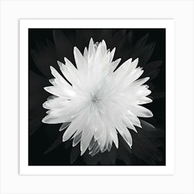 White Flower 1 Art Print