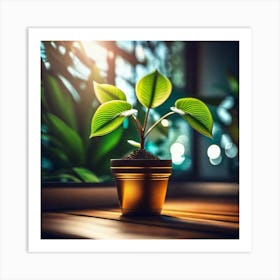 Small Plant In A Pot Art Print