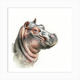 Hippo 1 Art Print