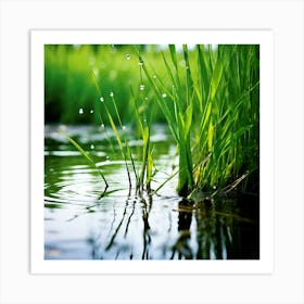 Grass Plant Reed Green Background Nature Closeup Garden Flora Growth Leaf Summer Spring (3) Art Print