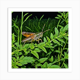 Grasshopper 59 Art Print